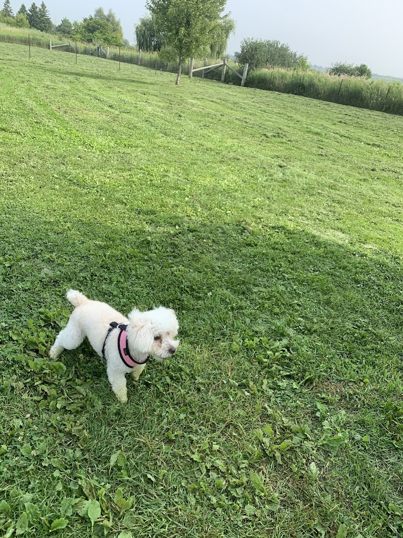 Small Dog Off-leash Park dog park in Whitby, Ontario