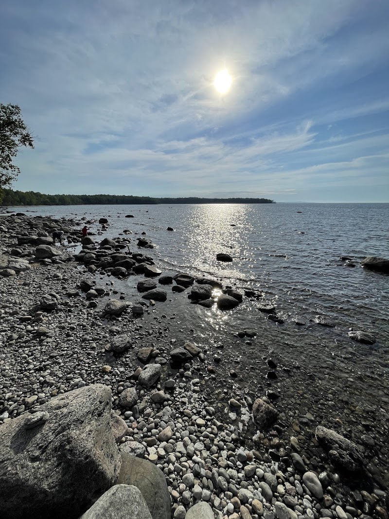 Awenda Pet Beach Area dog park in Simcoe County, Ontario