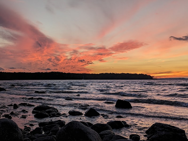 Awenda Pet Beach Area dog park in Simcoe County, Ontario