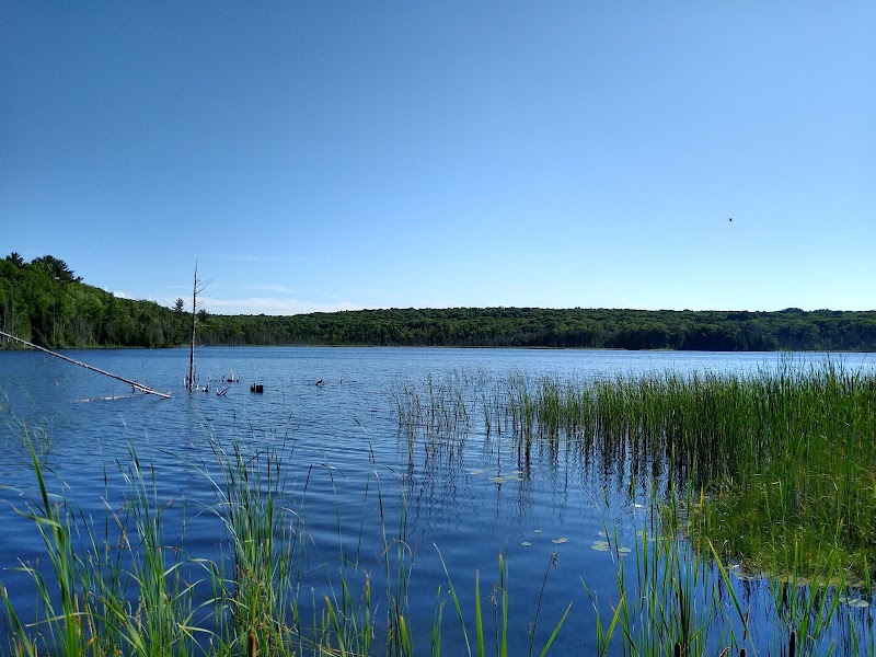 Awenda Pet Beach Area dog park in Simcoe County, Ontario