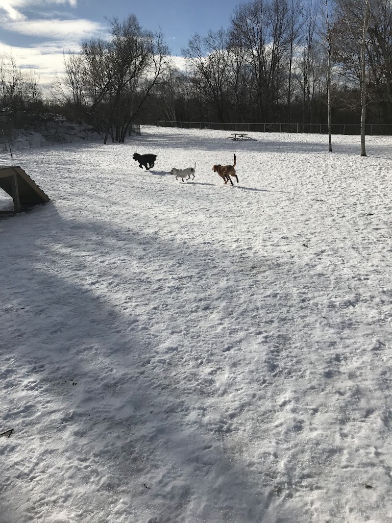 Staff Sergeant Larry Bigley K-9 Park dog park in Gravenhurst, Ontario