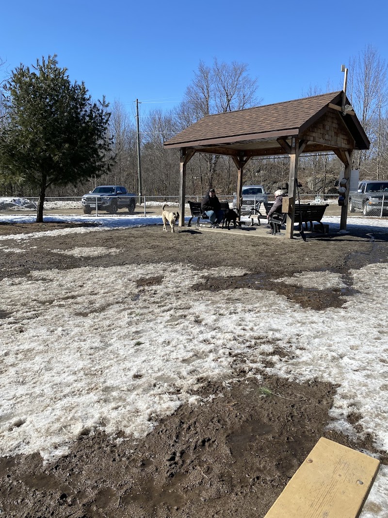 Staff Sergeant Larry Bigley K-9 Park dog park in Gravenhurst, Ontario
