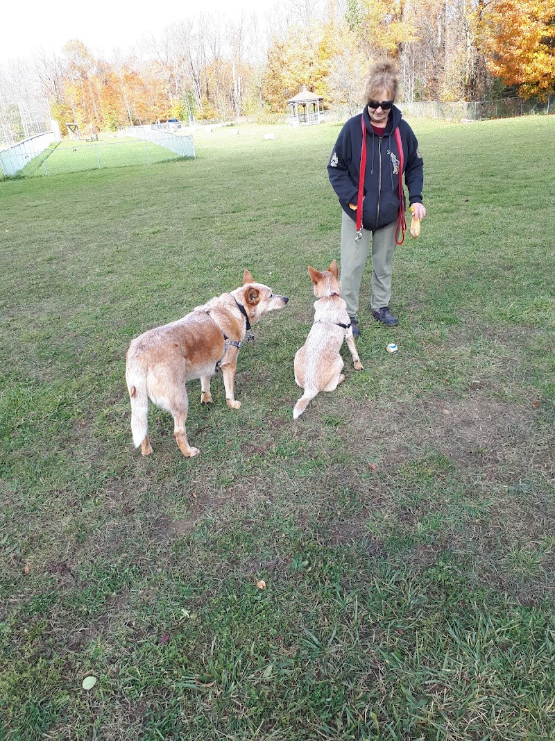 Tayja's Doggy Park dog park in Wiarton, Ontario