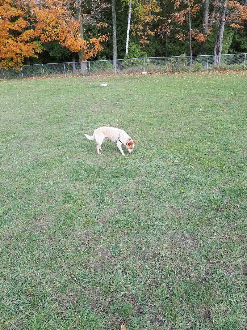 Tayja's Doggy Park dog park in Wiarton, Ontario