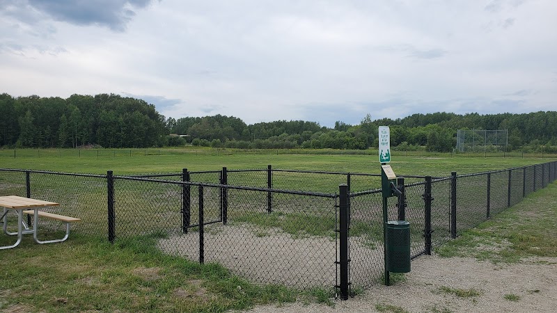 Murray Daniels Dog Park dog park in North Cobalt, Ontario