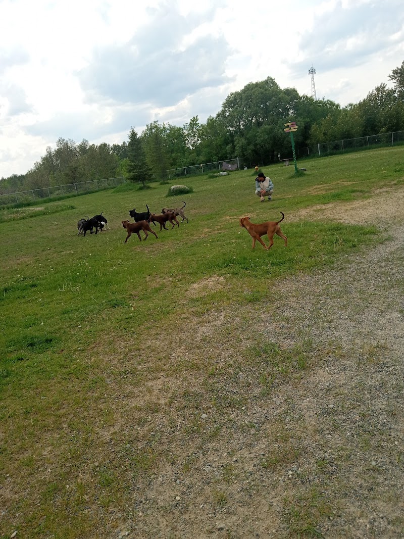 Dog Park dog park in Timmins, Ontario
