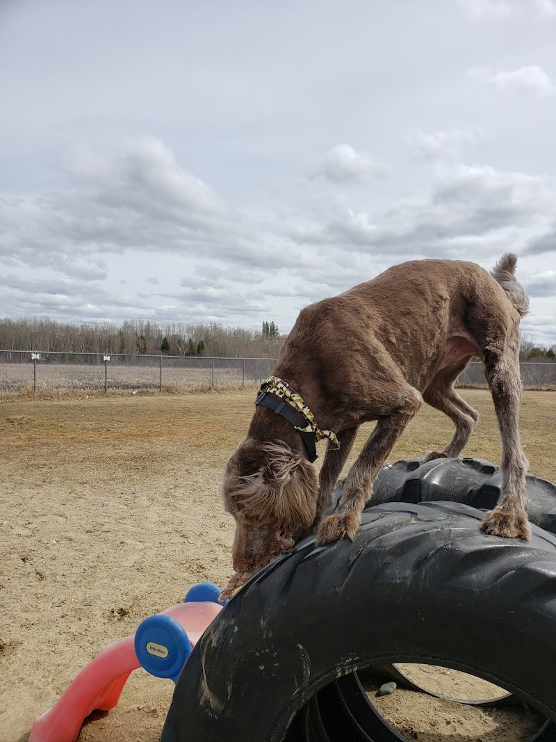 Dog Park dog park in Timmins, Ontario