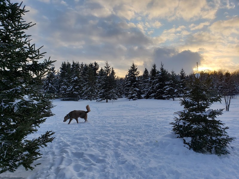 Strathclair Dog Park dog park in Sault Ste. Marie, Ontario