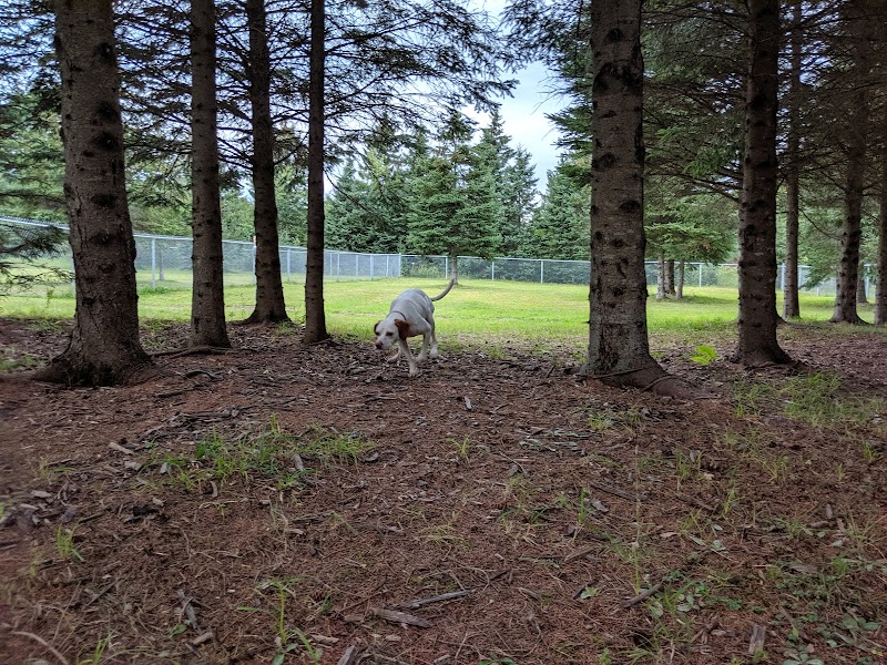 Strathclair Dog Park dog park in Sault Ste. Marie, Ontario