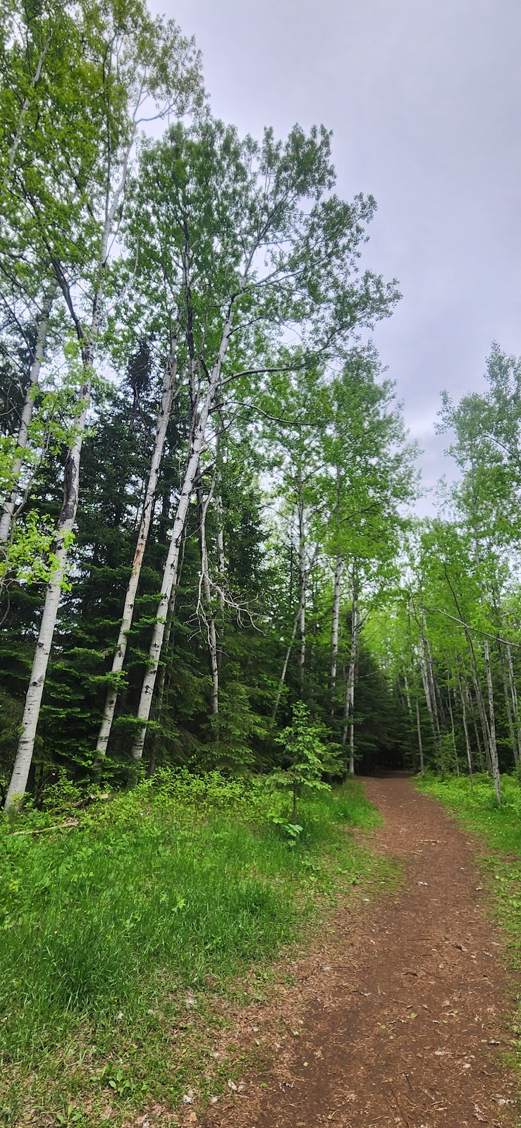 Off Leash Dog Park dog park in Thunder Bay District, Ontario