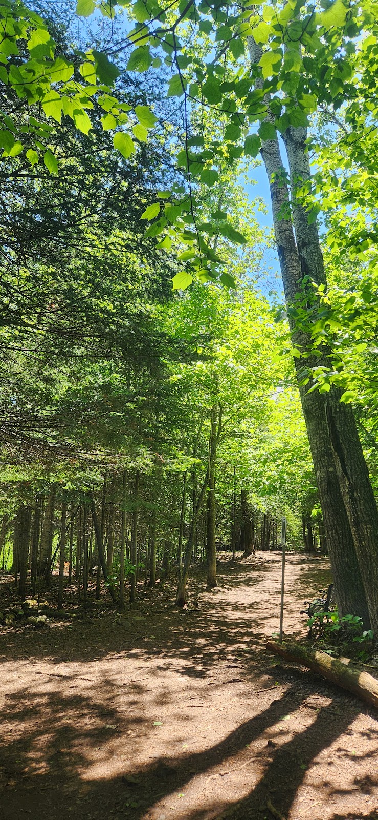 Off Leash Dog Park dog park in Thunder Bay District, Ontario