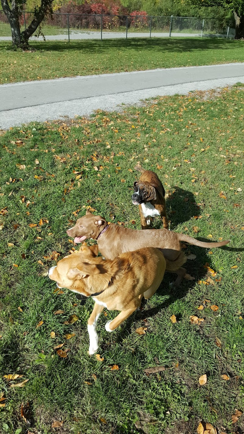 Niagara Falls Dog Park dog park in Niagara Falls, Ontario