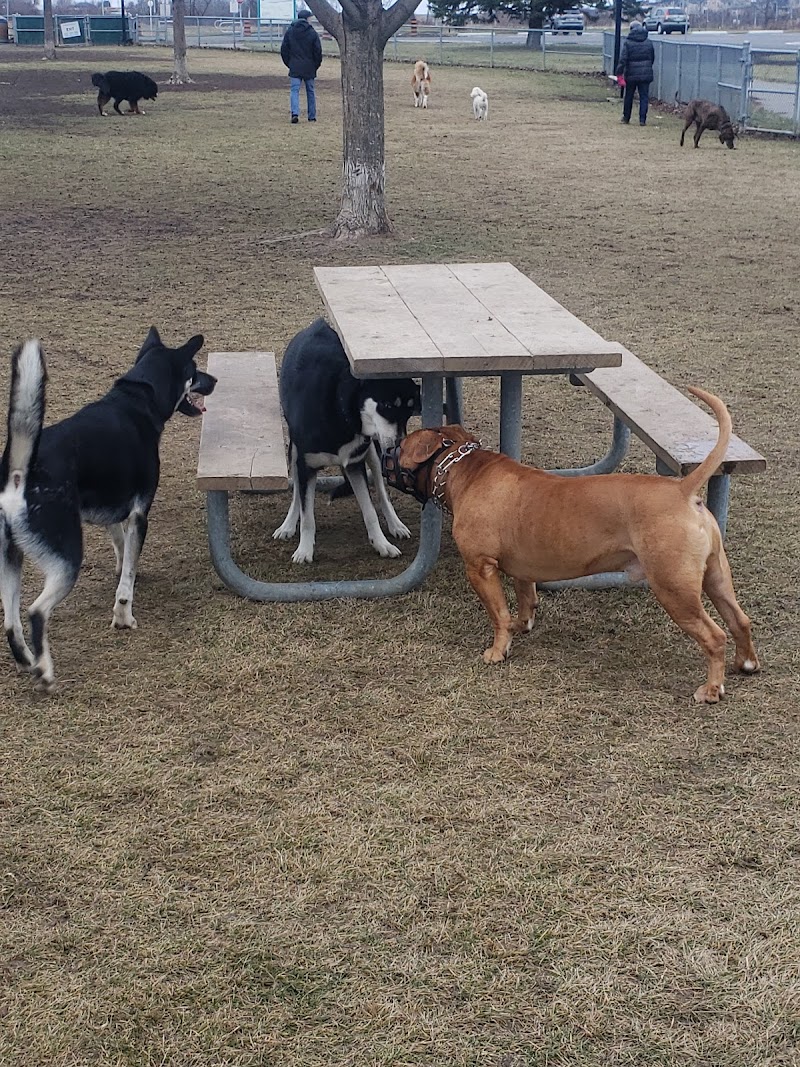 Bowmanville Off Leash Dog Park dog park in Courtice, Ontario