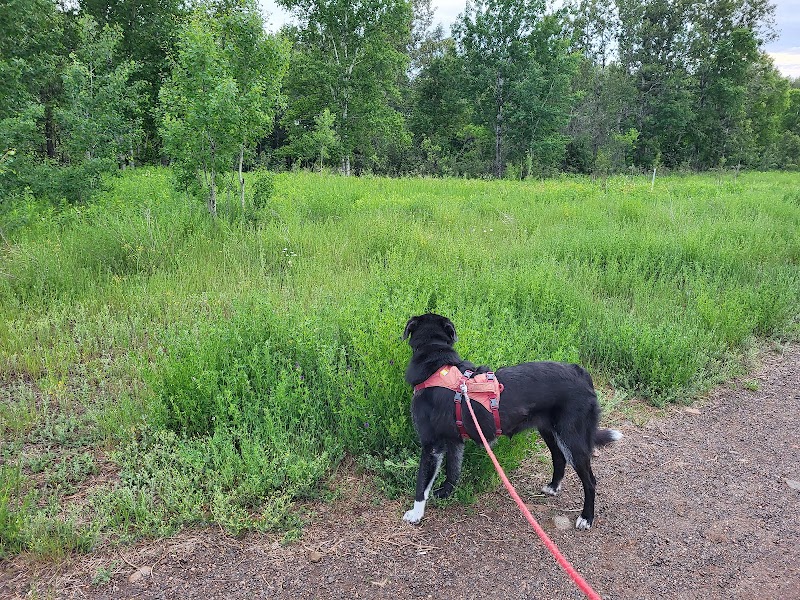Hillyard Lands Off-leash Dog Park dog park in Thunder Bay, Ontario