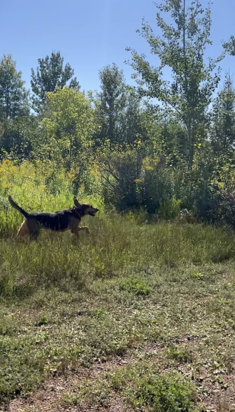 Hillyard Lands Off-leash Dog Park dog park in Thunder Bay, Ontario