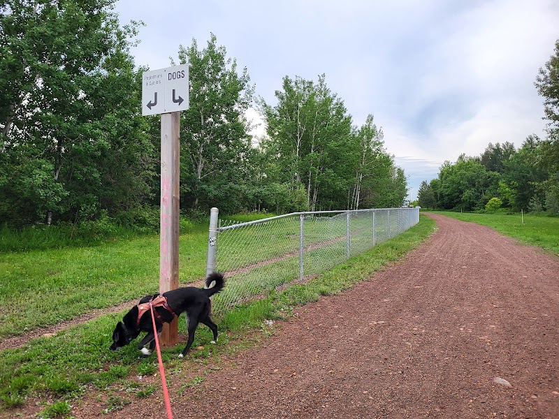Hillyard Lands Off-leash Dog Park dog park in Thunder Bay, Ontario