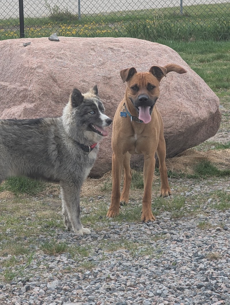 City of Kenora Dog Park dog park in Kenora, Ontario