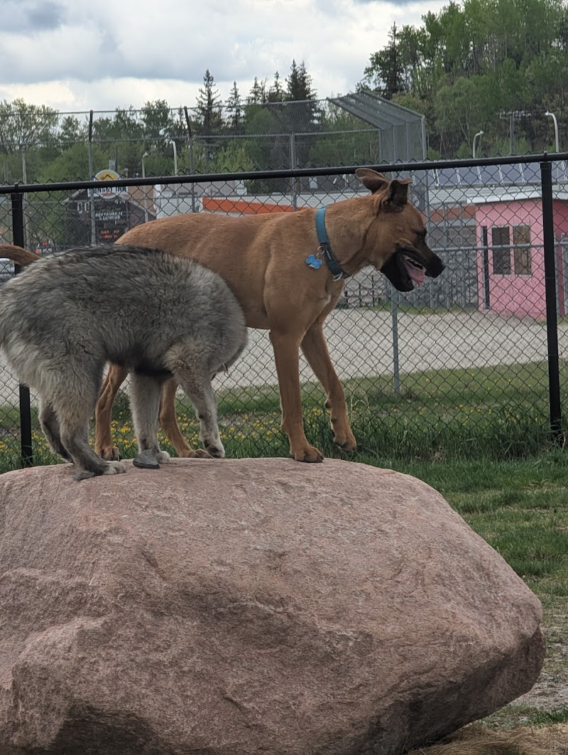 City of Kenora Dog Park dog park in Kenora, Ontario