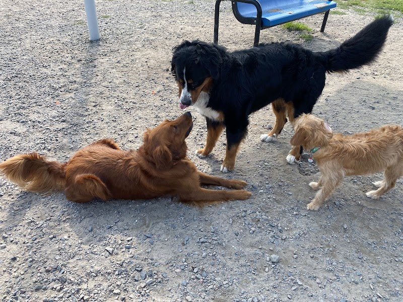 City of Kenora Dog Park dog park in Kenora, Ontario