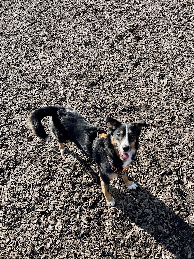 Stan Wadlow off-leash dog park dog park in East York, Ontario