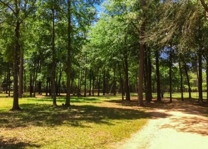 Stan Wadlow off-leash dog park dog park in East York, Ontario