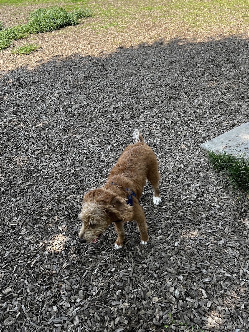 Stan Wadlow off-leash dog park dog park in East York, Ontario