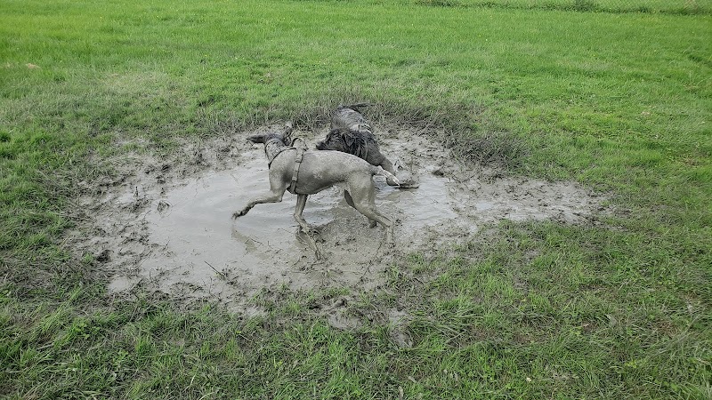 Dog Park at Centre-de-Plein-Air-Ronald-Beauregard dog park in Saint-Jean-sur-Richelieu, Quebec