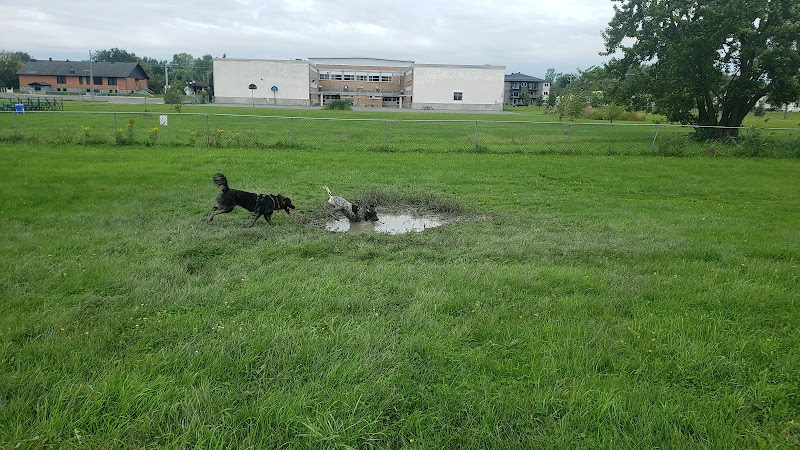 Dog Park at Centre-de-Plein-Air-Ronald-Beauregard dog park in Saint-Jean-sur-Richelieu, Quebec