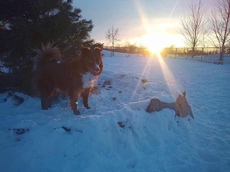 Dog park dog park in Terrebonne, Quebec