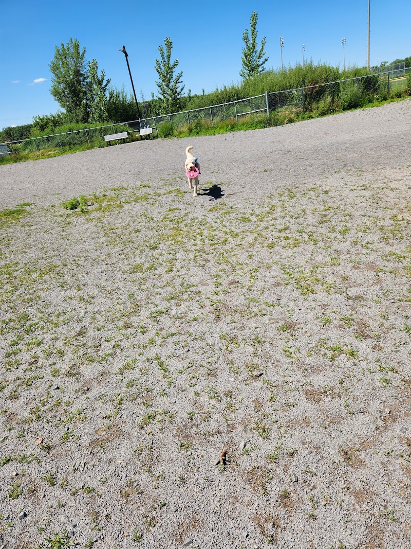 Dog park dog park in Terrebonne, Quebec