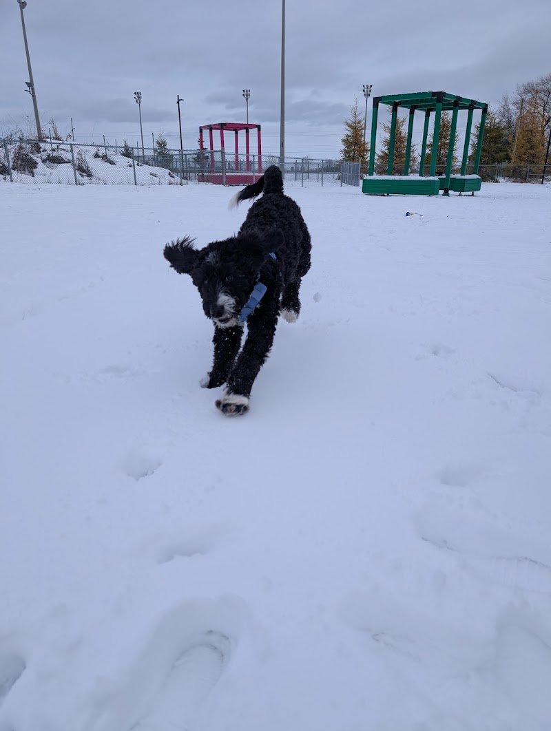 Dog park dog park in Terrebonne, Quebec