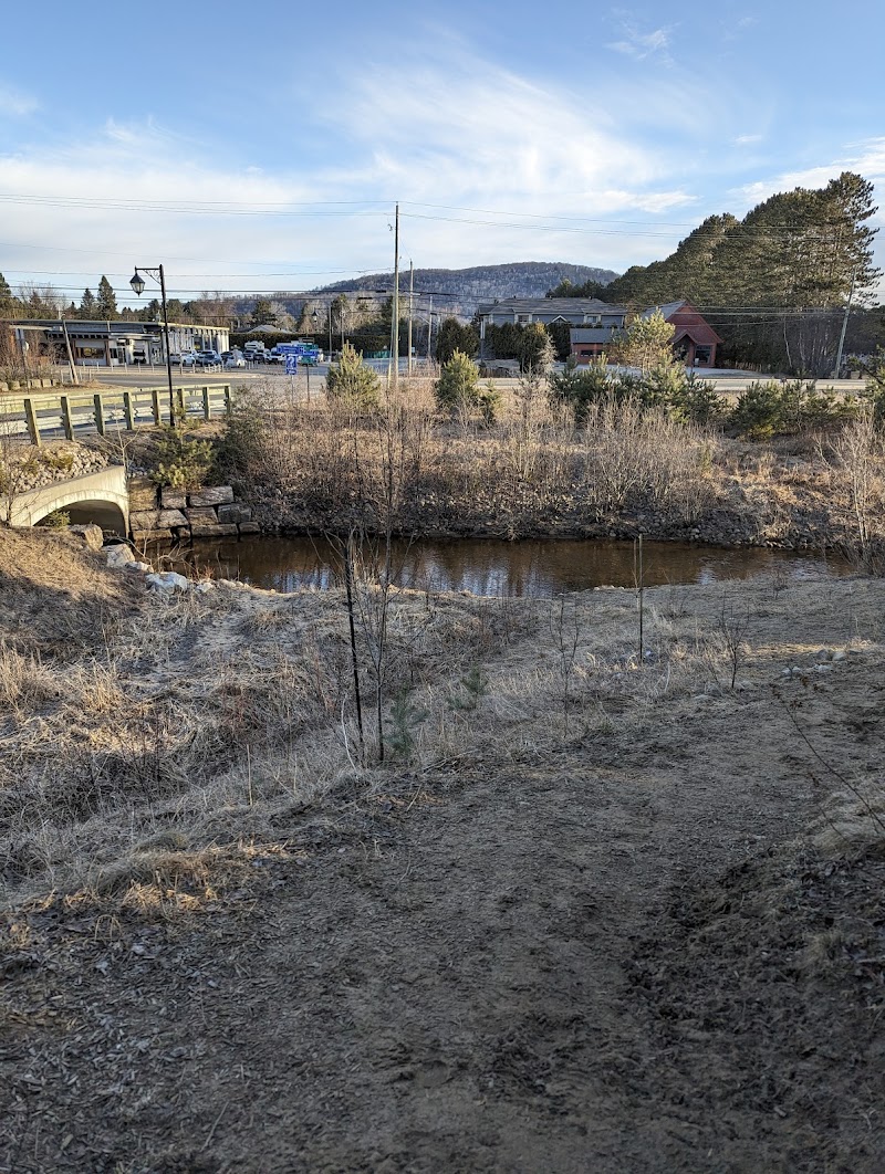 Parc à chiens Mont-Tremblant K9 park dog park in Mont-Tremblant, Quebec