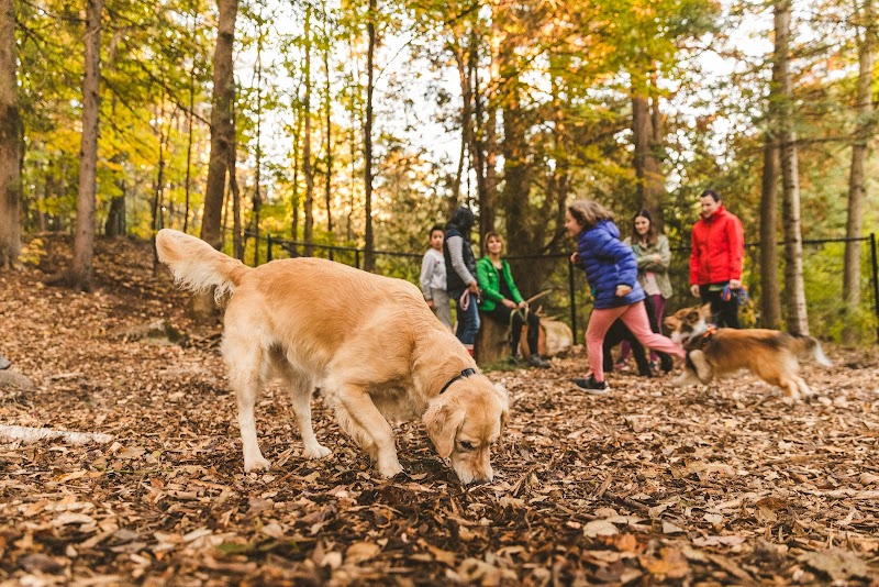 Hendrick Dog Park dog park in Chelsea, Quebec