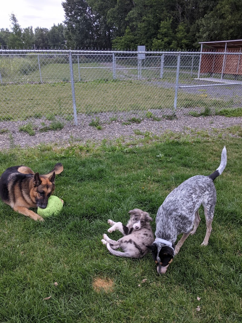 Parc canin de Coaticook dog park in Coaticook, Quebec