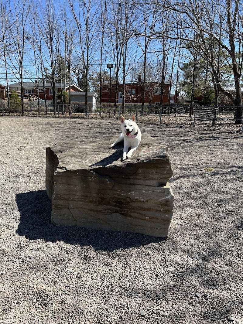 Brook Park dog park dog park in Montreal, Quebec