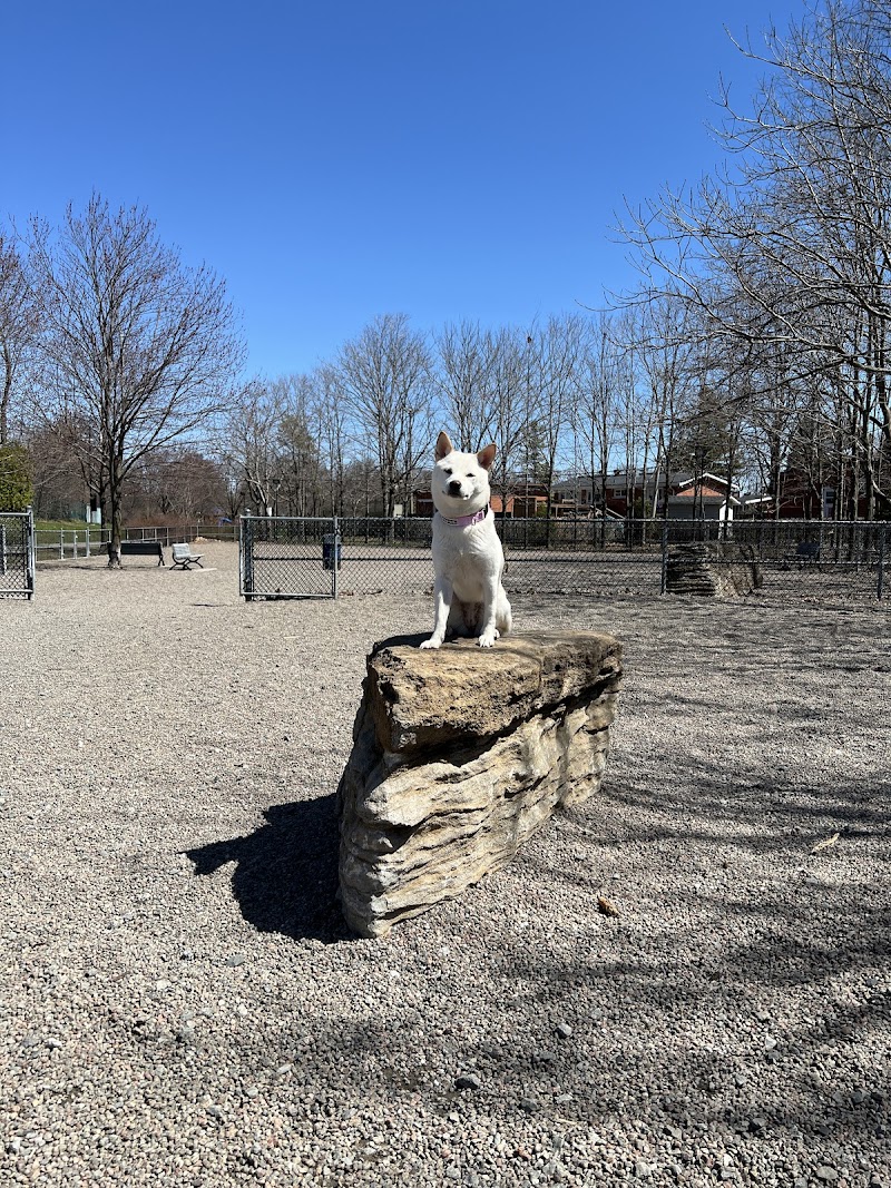 Brook Park dog park dog park in Montreal, Quebec