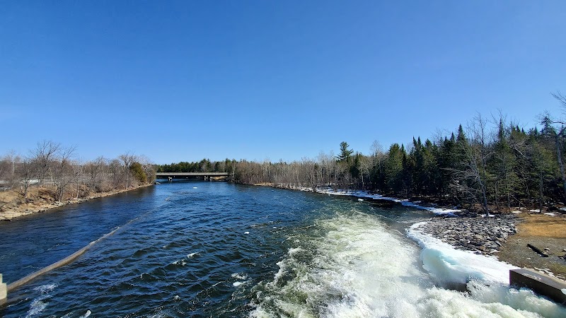 Parc canin dog park in Magog, Quebec