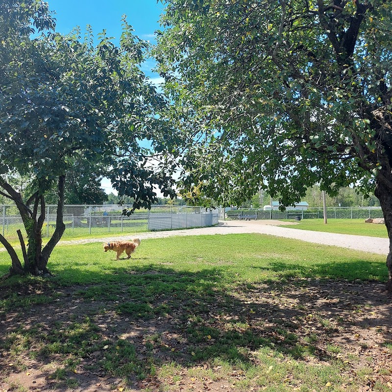 Parc canin dog park in Magog, Quebec