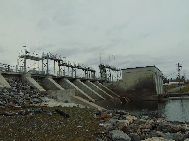 Parc canin dog park in Magog, Quebec