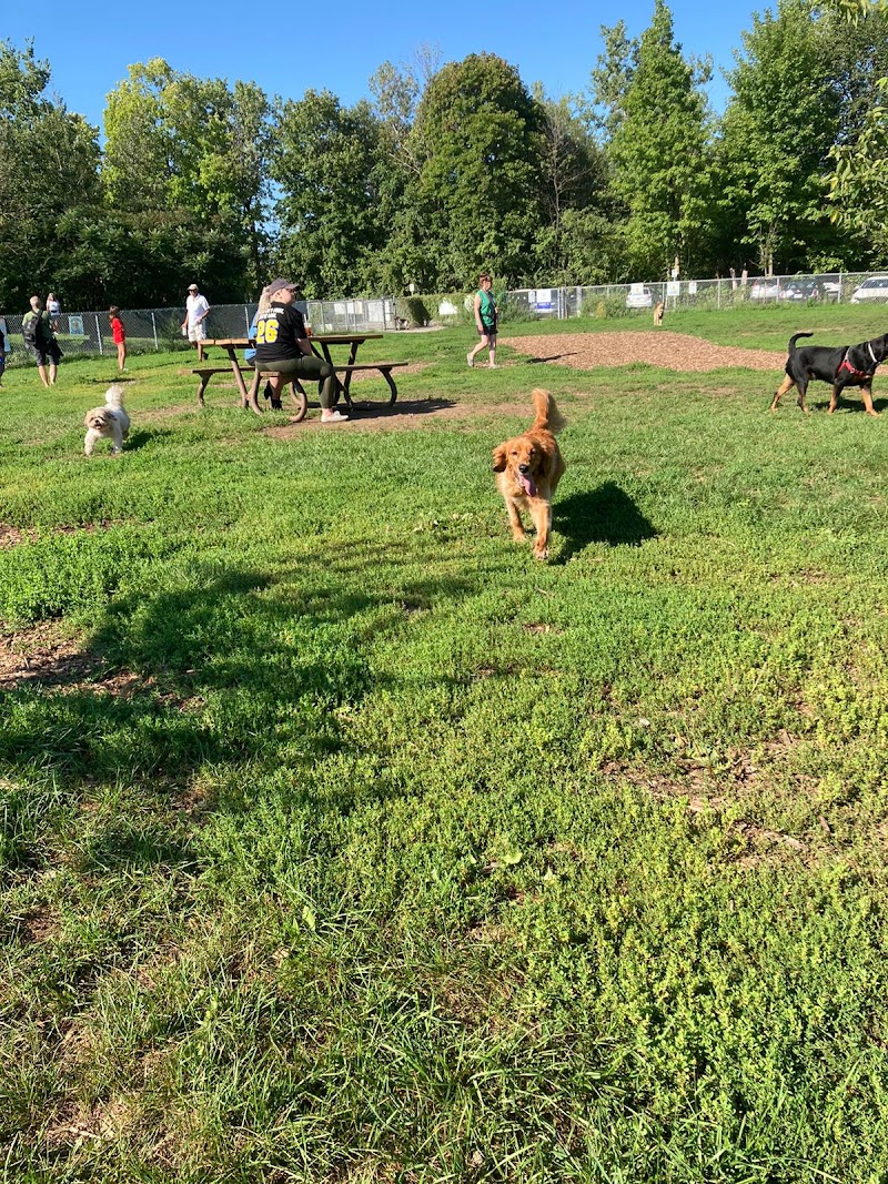 Dog Park dog park in Kirkland, Quebec