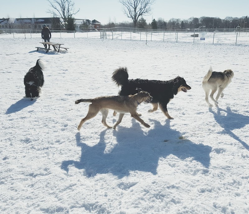Dog Park dog park in Kirkland, Quebec