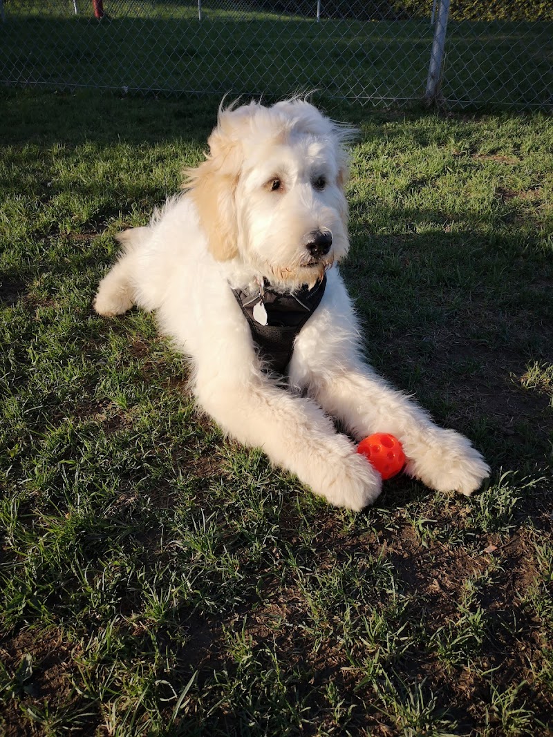 Parc Canin de Waterloo dog park in Waterloo, Quebec
