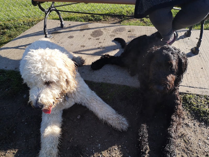 Parc Canin de Waterloo dog park in Waterloo, Quebec