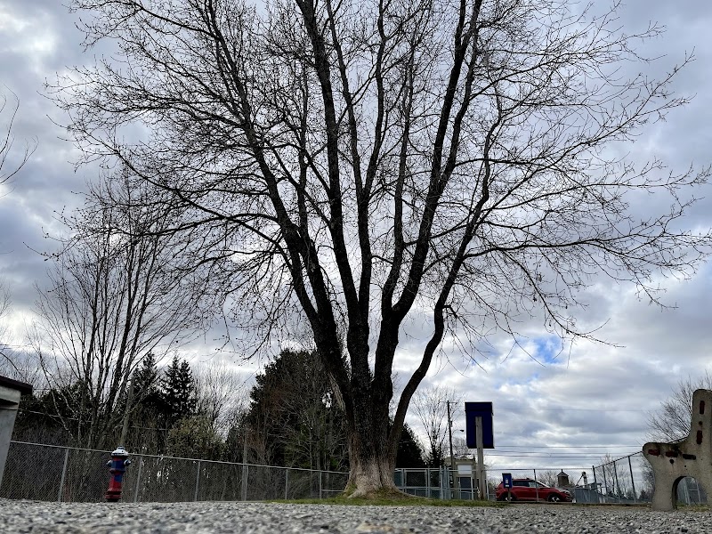 Parc canin de Warwick dog park in Warwick, Quebec