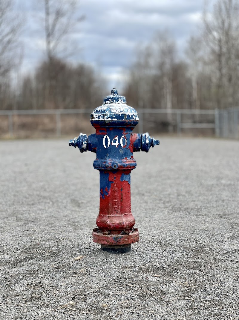Parc canin de Warwick dog park in Warwick, Quebec