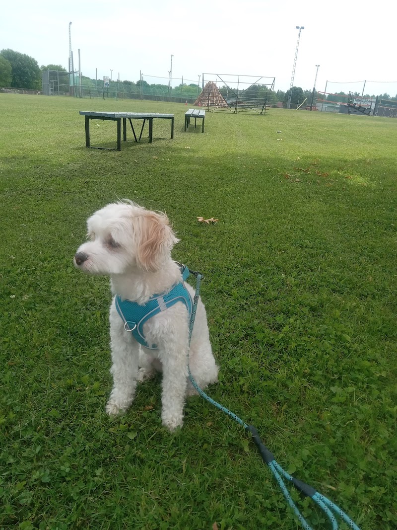 Drummondville Dog Park dog park in Drummondville, Quebec