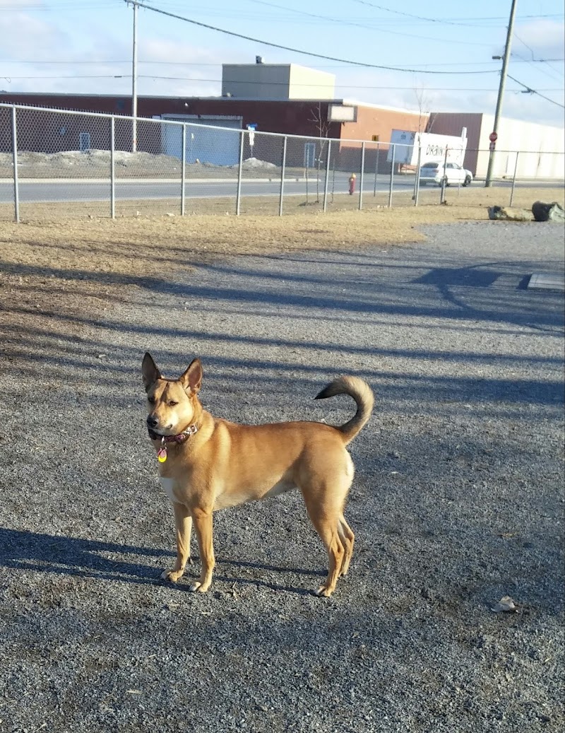 Parc canin dog park in Granby, Quebec