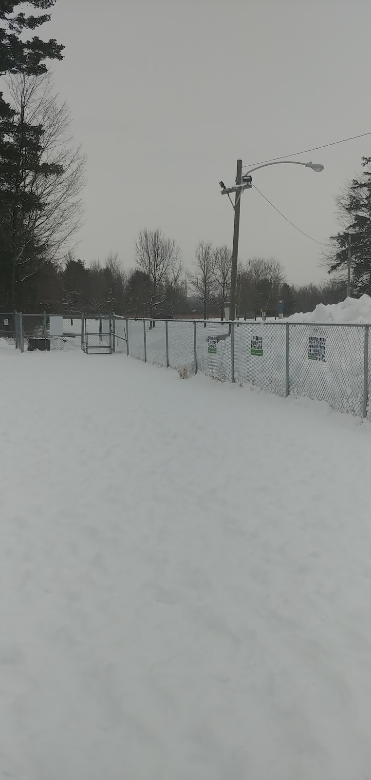 Parc Canin Cowansville dog park in Cowansville, Quebec