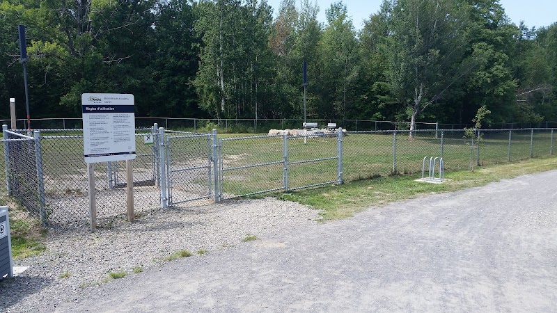 Parc canin de Bromont dog park in Bromont, Quebec