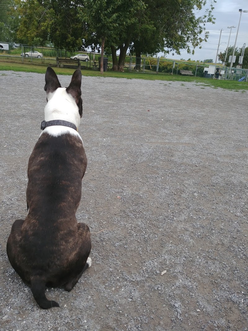 Parc canin AMPC dog park in Saint-Hyacinthe, Quebec